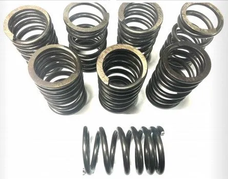 DBW Stock Valve Spring for 40-60HP VW Type 1 - 8 Pack - 113109623C