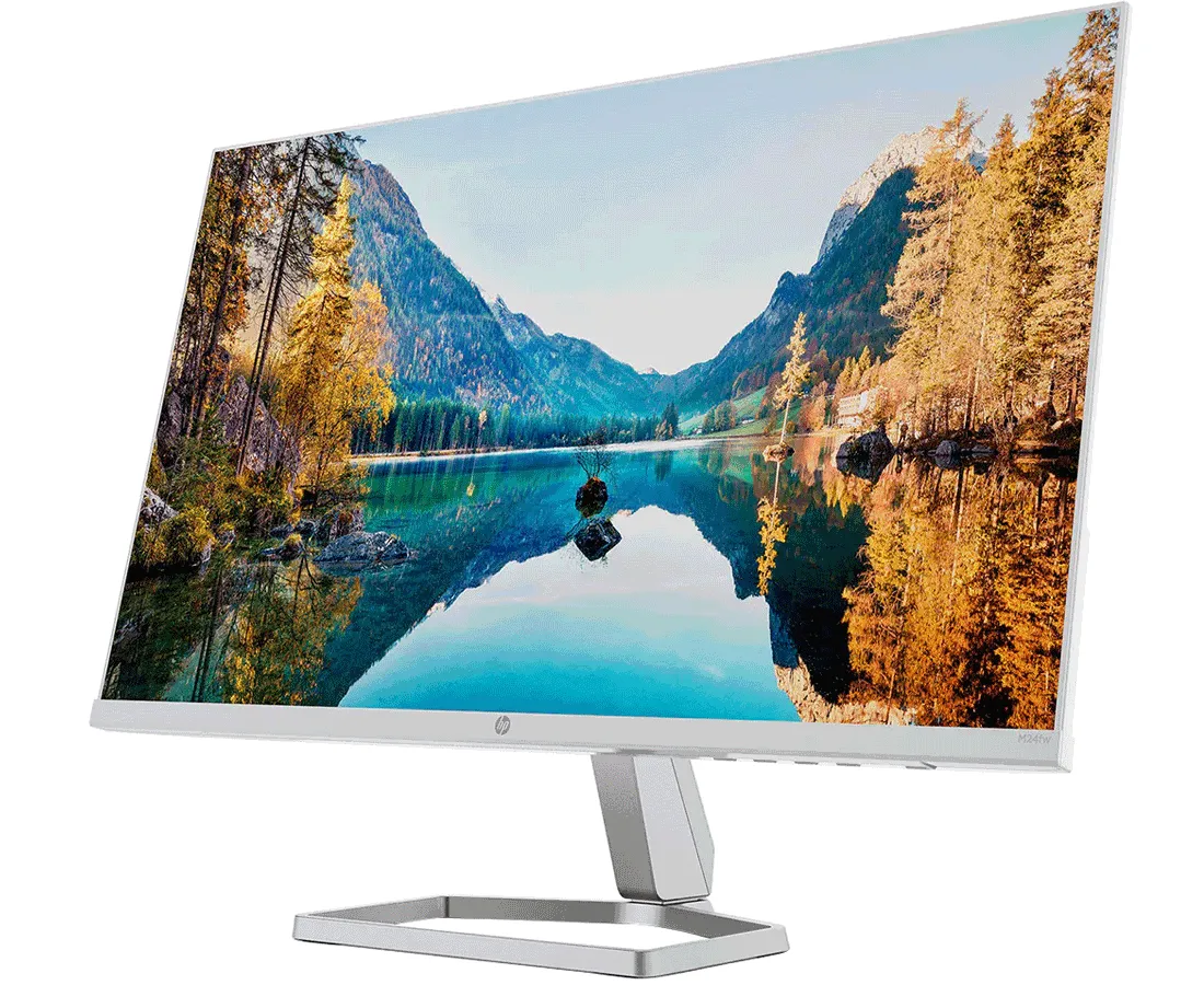 HP 23.8" Full HD Monitor