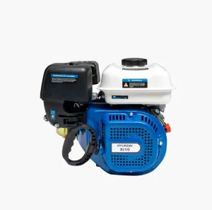 Hyundai Gasoline Engine 5.1KW (Xi-10)