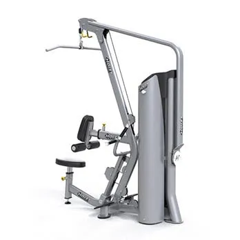Lat Pulldown/Mid Row