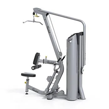 Lat Pulldown/Mid Row
