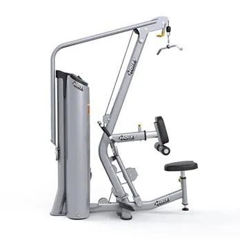 Lat Pulldown/Mid Row