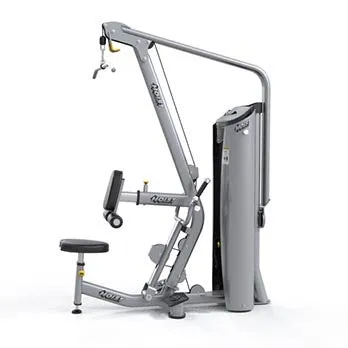 Lat Pulldown/Mid Row